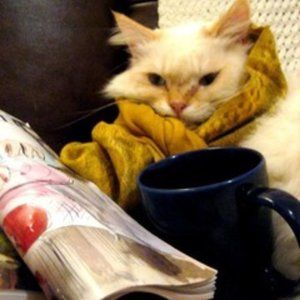 Meet your Posher, Zoe